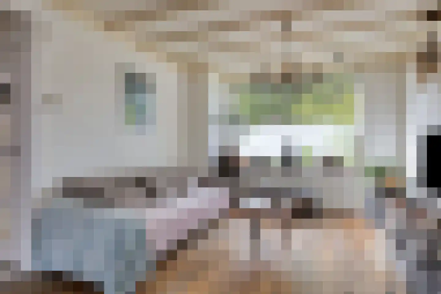 Marterlaan 19 Waalre thumbnail 10