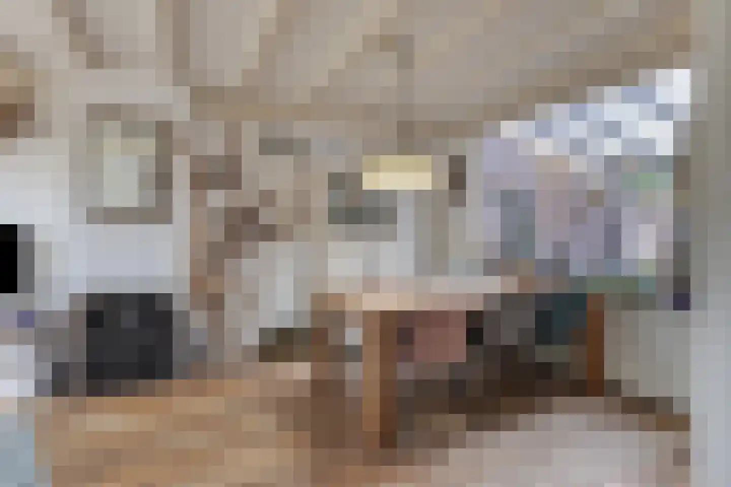 Marterlaan 19 Waalre thumbnail 13