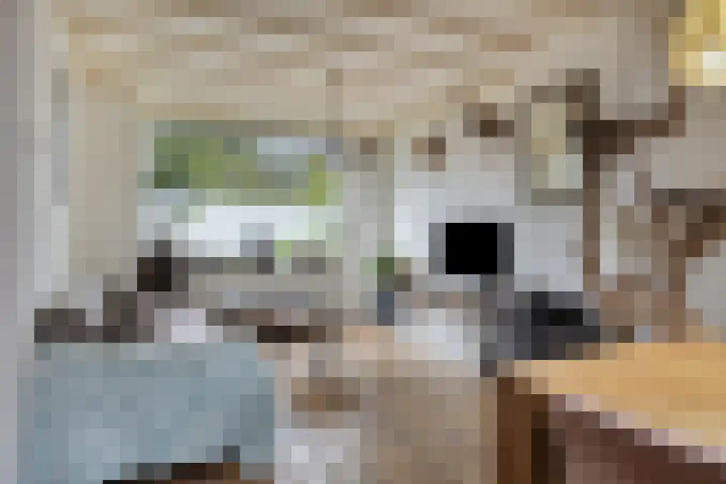 Marterlaan 19 Waalre thumbnail 9