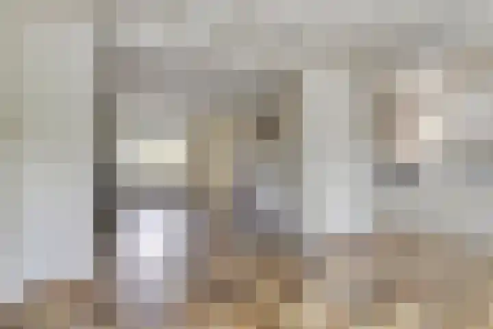 Marterlaan 21 Waalre thumbnail 6