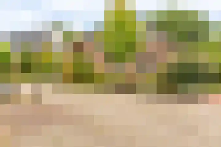 Marterlaan 22 Winschoten thumbnail 5