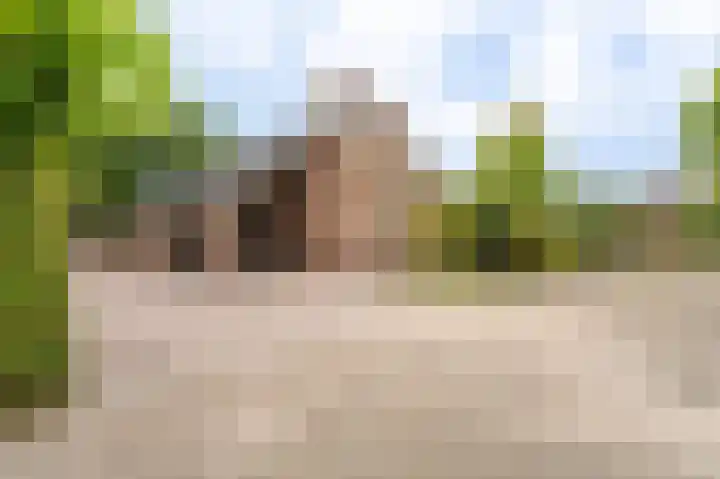 Marterlaan 22 Winschoten thumbnail 6