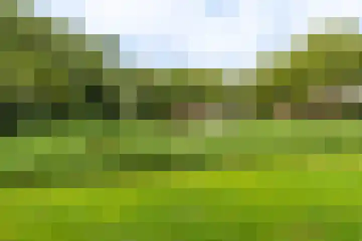 Marterlaan 22 Winschoten thumbnail 64