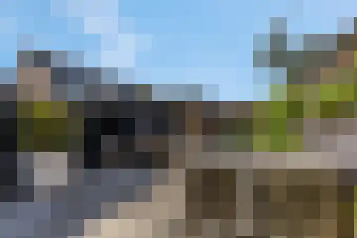 Marterlaan 24 Veenendaal thumbnail 42
