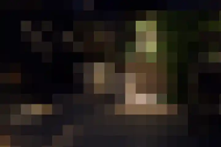 Marterlaan 24 Veenendaal thumbnail 47