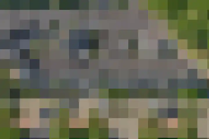 Marterlaan 24 Veenendaal thumbnail 5