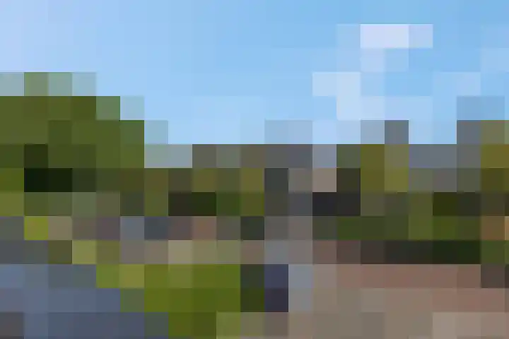 Marterlaan 24 Veenendaal thumbnail 50