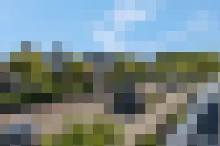 Marterlaan 24 Veenendaal thumbnail 6