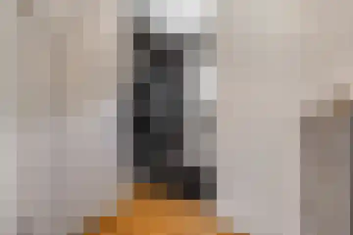 Marterlaan 24 Veenendaal thumbnail 7