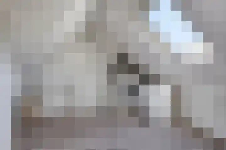 Marterlaan 3 Den Dolder thumbnail 20