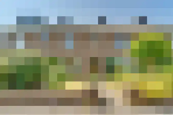 Marterlaan 3 Den Dolder thumbnail 4