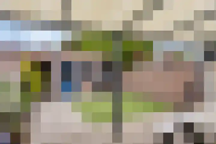 Marterlaan 34 Waalre thumbnail 31