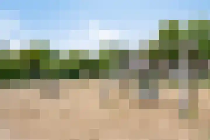 Marterlaan 34 Waalre thumbnail 35