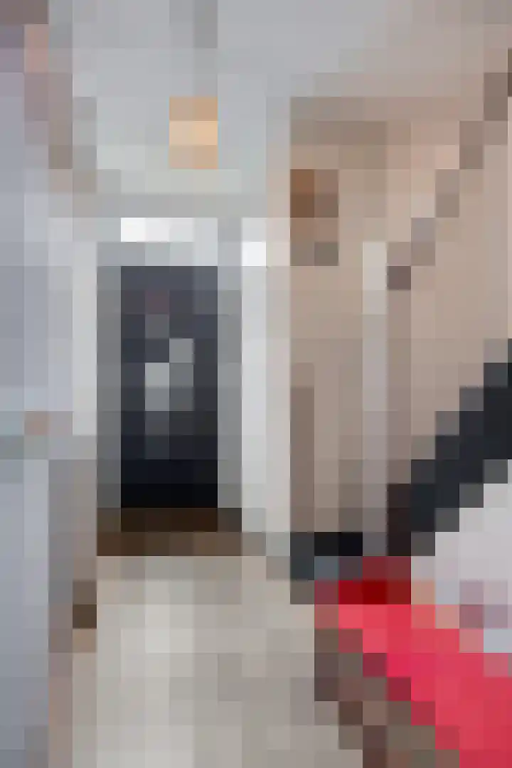 Marterlaan 34 Waalre thumbnail 5