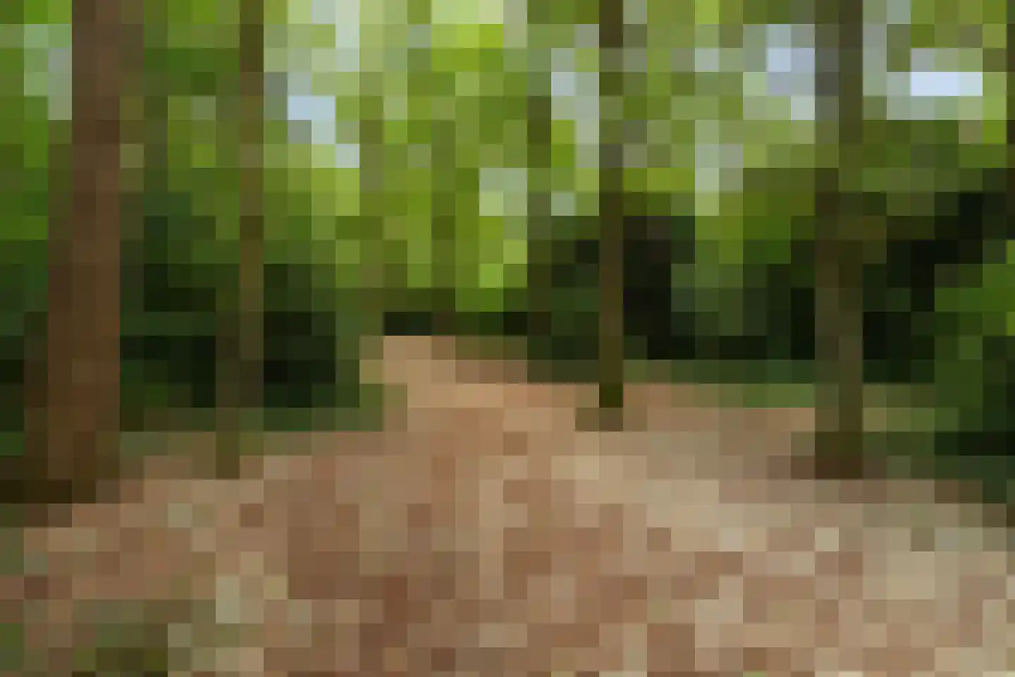Marterlaan 70 Hilversum thumbnail 28