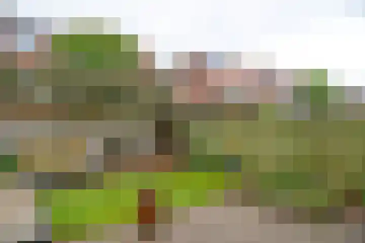 Marterlaan 72 Hilversum thumbnail 20