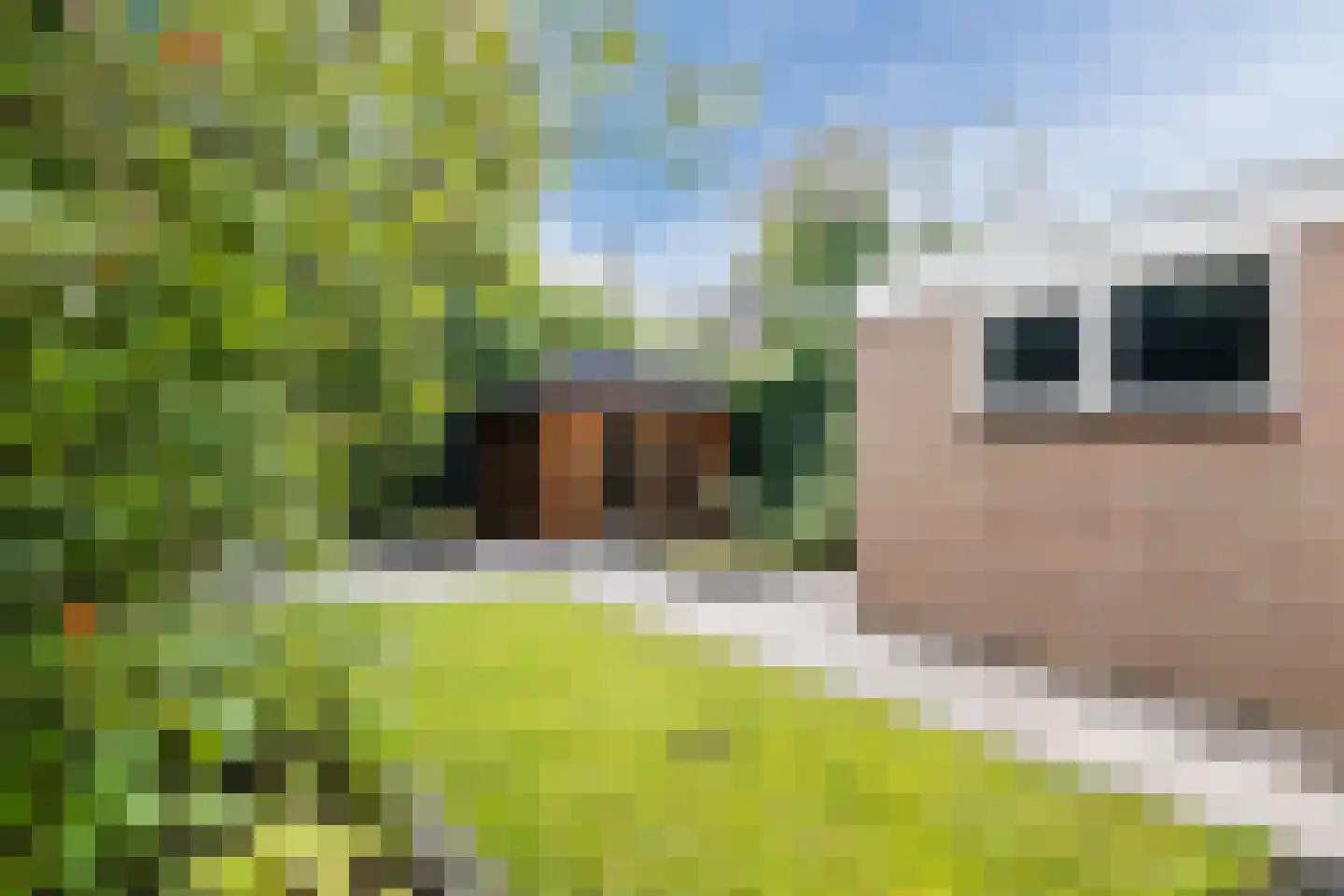 Marterlaan 76 Winschoten thumbnail 31