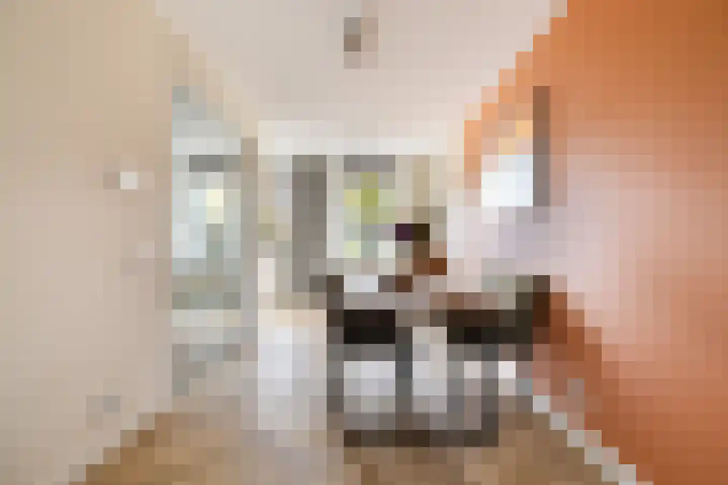 Marternest 21 Scherpenzeel thumbnail 12