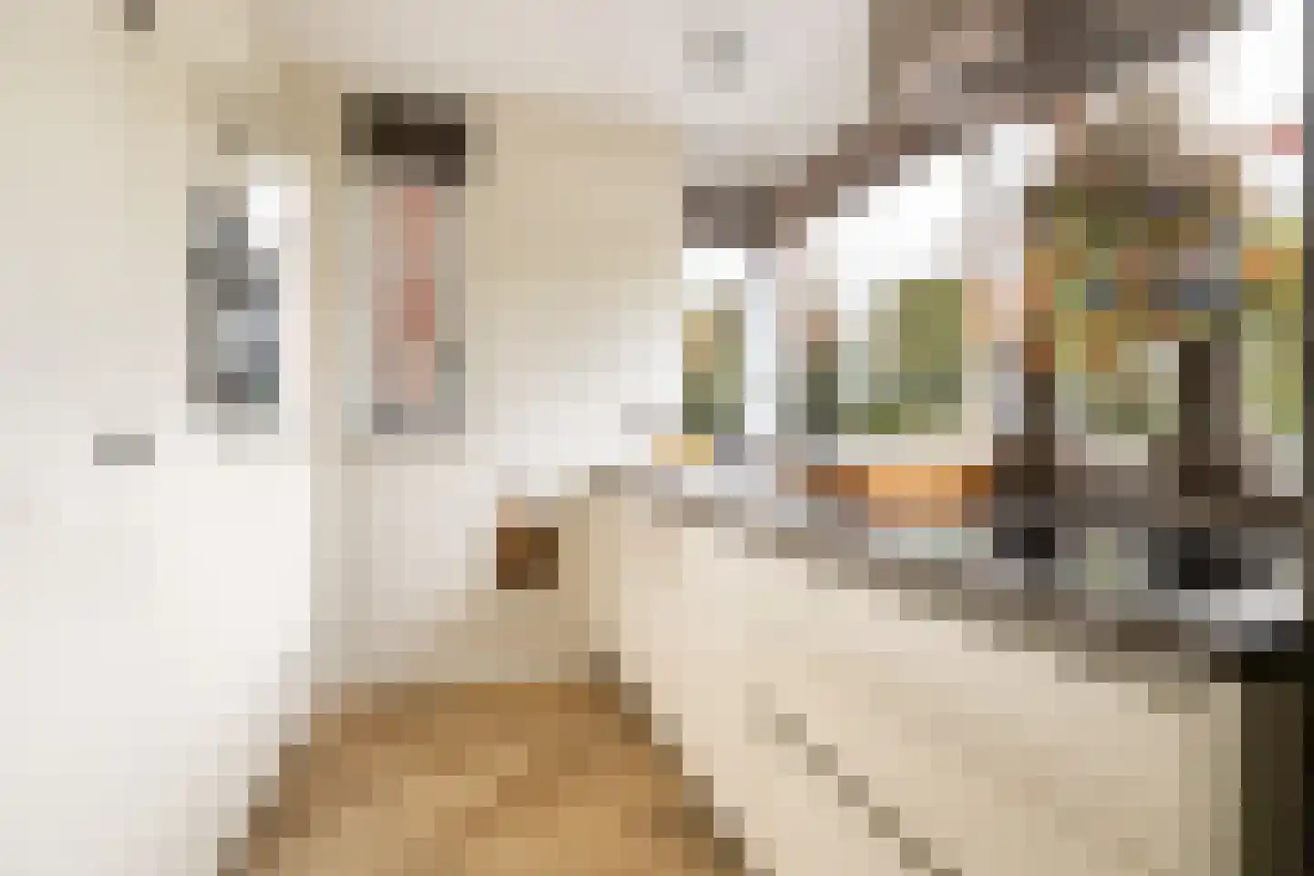 Marternest 21 Scherpenzeel thumbnail 13
