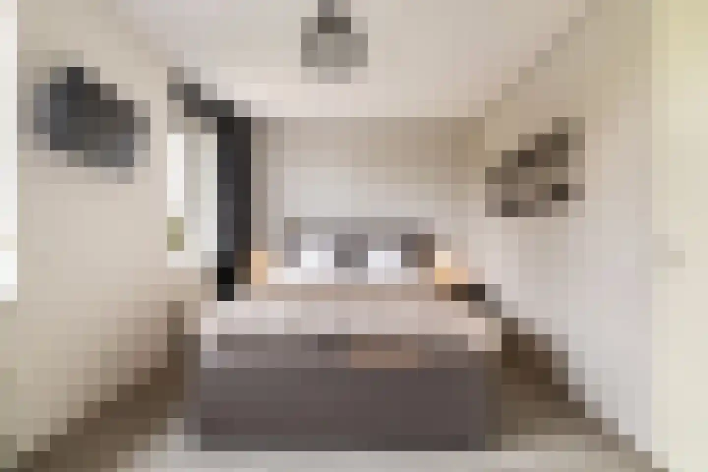 Marternest 21 Scherpenzeel thumbnail 19