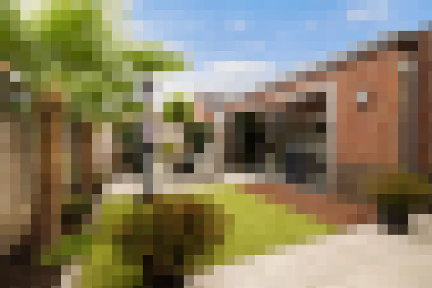 Marternest 21 Scherpenzeel thumbnail 32