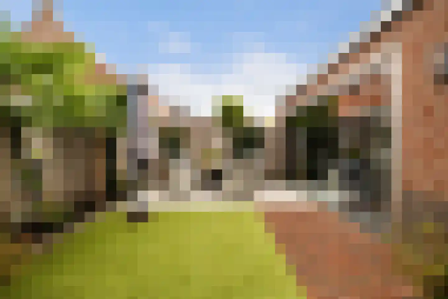 Marternest 21 Scherpenzeel thumbnail 33