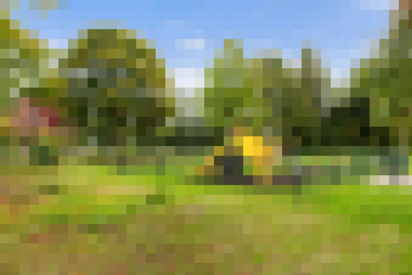 Marternest 21 Scherpenzeel thumbnail 43