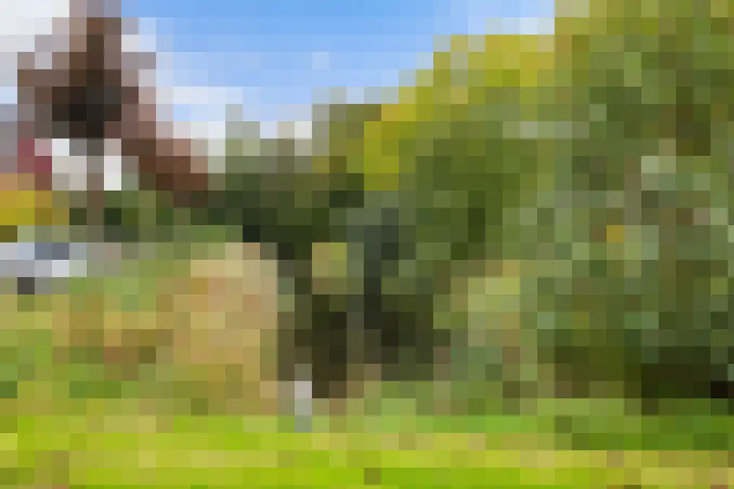 Marternest 21 Scherpenzeel thumbnail 44