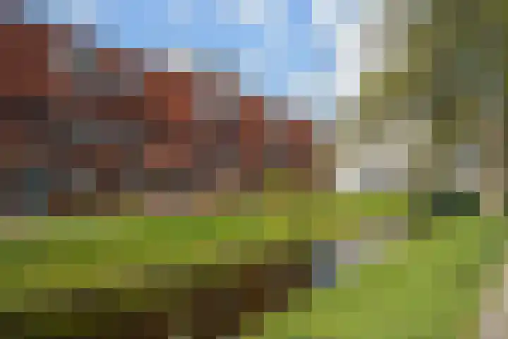 Marterrade 255 in Den Haag