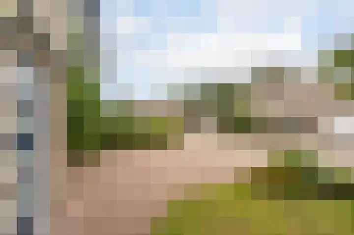 Marterslag 19 Assen thumbnail 10