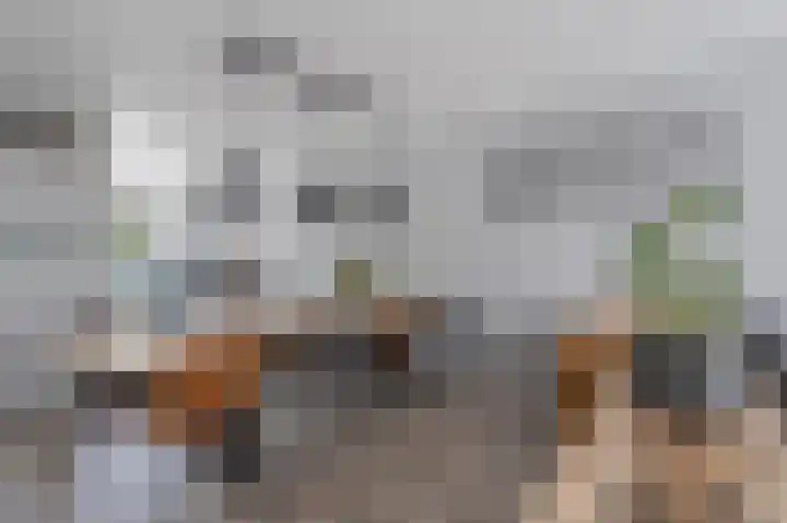 Marterslag 19 Assen thumbnail 17