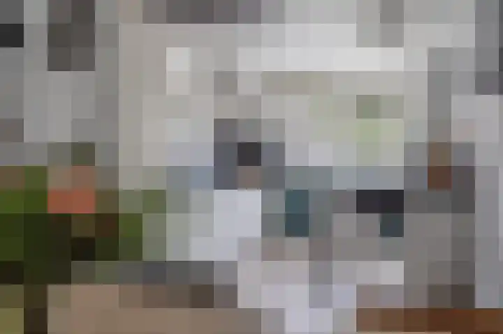 Marterslag 19 Assen thumbnail 18