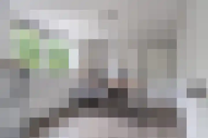 Marterslag 19 Assen thumbnail 25