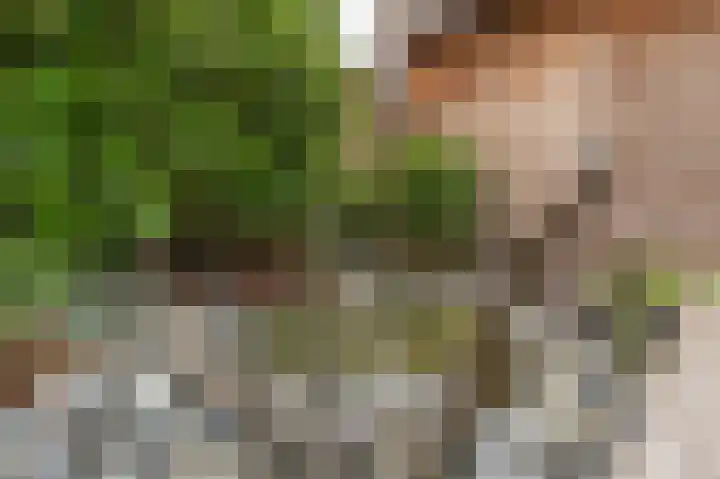 Marterslag 19 Assen thumbnail 49