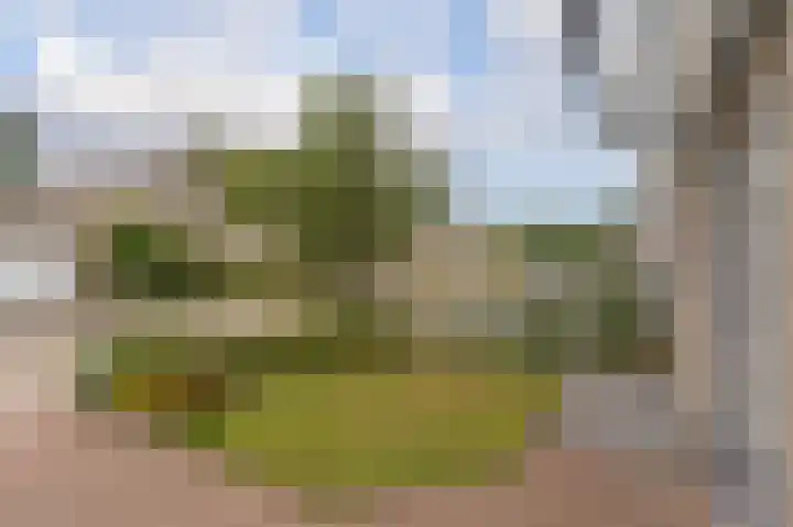 Marterslag 19 Assen thumbnail 9