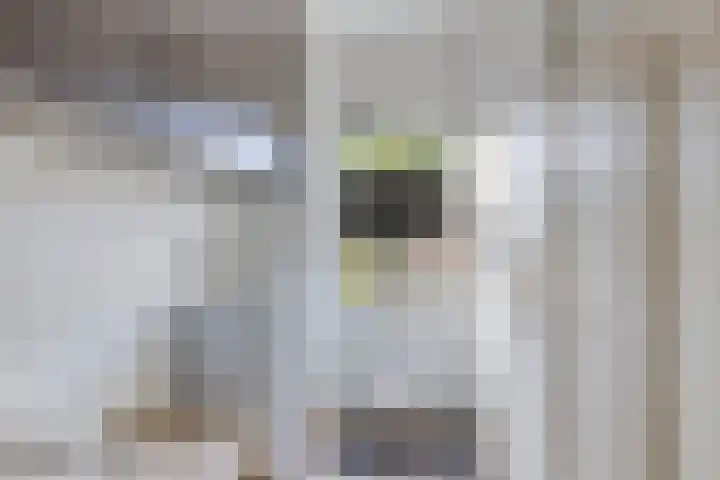 Marterslag 27 Assen thumbnail 13