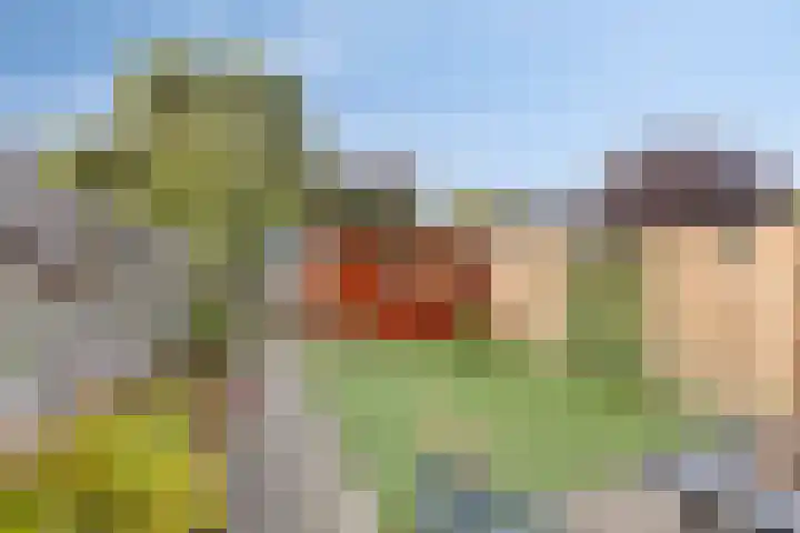 Marterslag 27 Assen thumbnail 22
