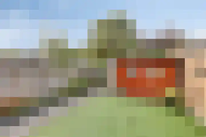 Marterslag 27 Assen thumbnail 23