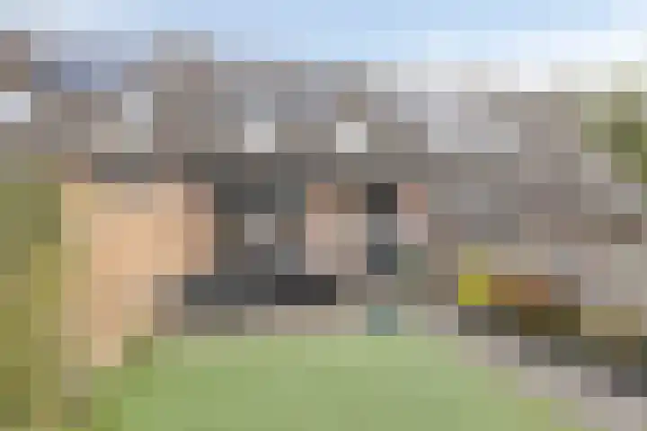Marterslag 27 Assen thumbnail 25