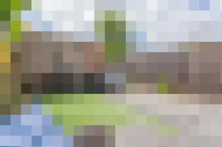 Marterslag 3 Assen thumbnail 40
