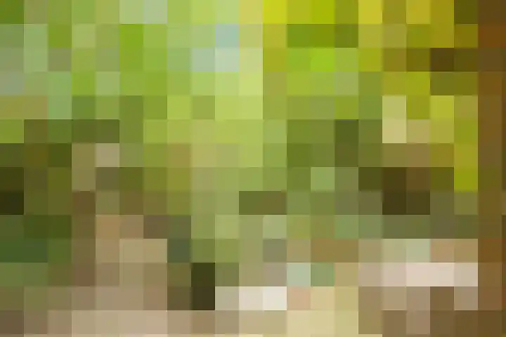 Marterslag 33 Assen thumbnail 38