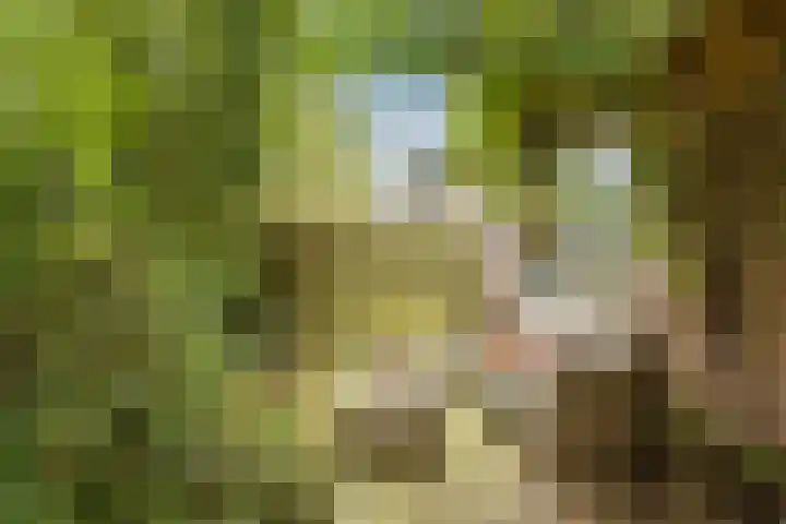 Marterslag 33 Assen thumbnail 39