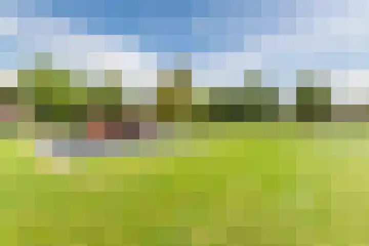 Marterslag 33 Assen thumbnail 44
