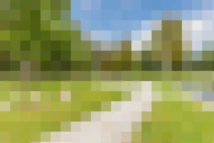 Marterslag 33 Assen thumbnail 45