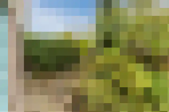Marterslag 33 Assen thumbnail 5