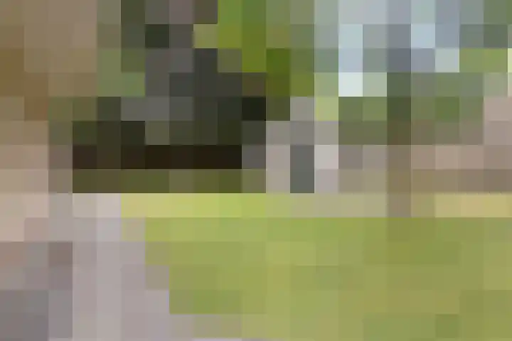 Marterstraat 18 Volkel thumbnail 34