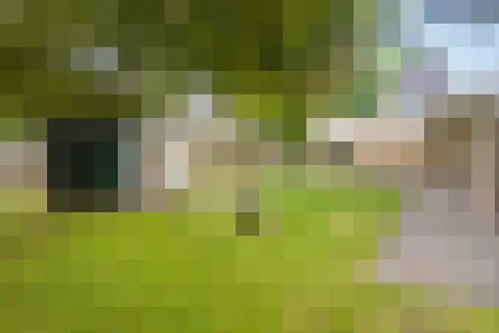 Marterstraat 18 Volkel thumbnail 36