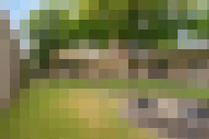 Marterstraat 18 Volkel thumbnail 39