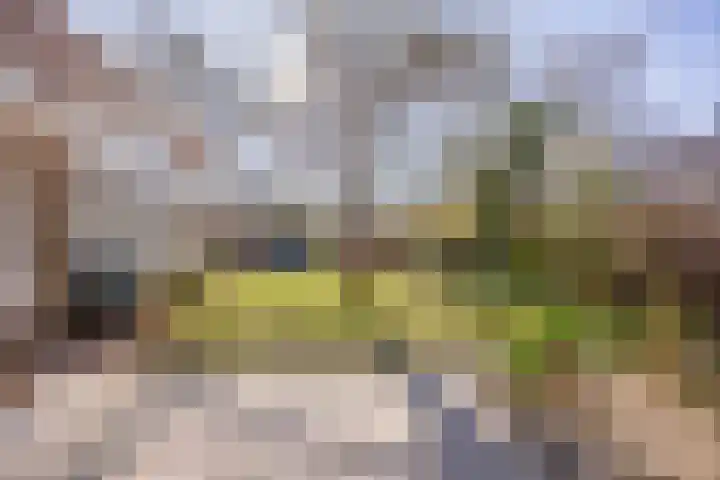 Marterstraat 2 Beek thumbnail 25