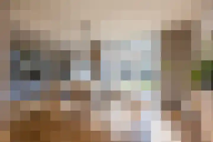 Marterstraat 2 Beek thumbnail 6